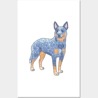 Blue Heeler Posters and Art